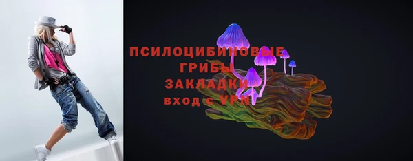бошки Армянск