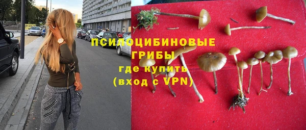 бошки Армянск