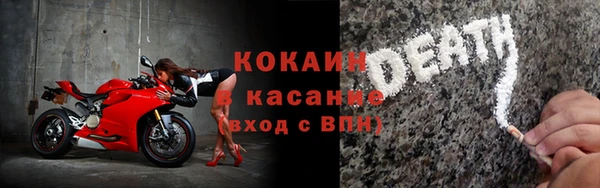 твердый Аркадак
